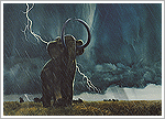 Sabretooth and Mammoths