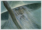 Gandalf the Grey