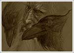 Hugin & Munin