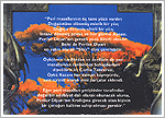 TURKEY - On Fairy-Stories (back cover)